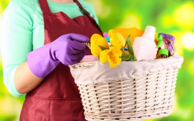 Spring Cleaning Tips
