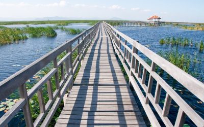 Top Day Trip Destinations