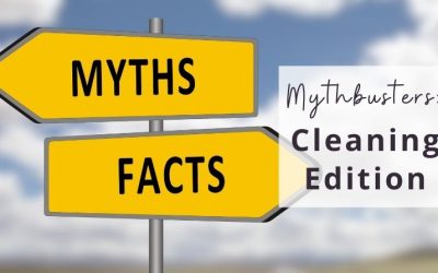 Mythbusters: Cleaning Edition